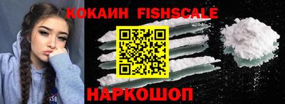 крисы Гусев