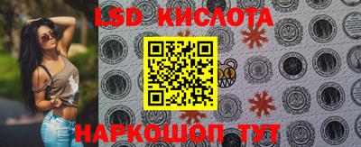 крисы Гусев
