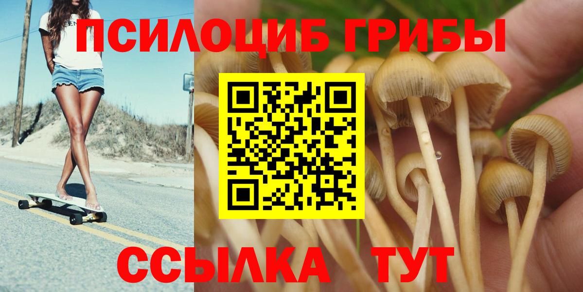 Псилоцибиновые грибы ЛСД  Псилоцибиновые грибы Cubensis  Вход с VPN  наркота  Шебекино 