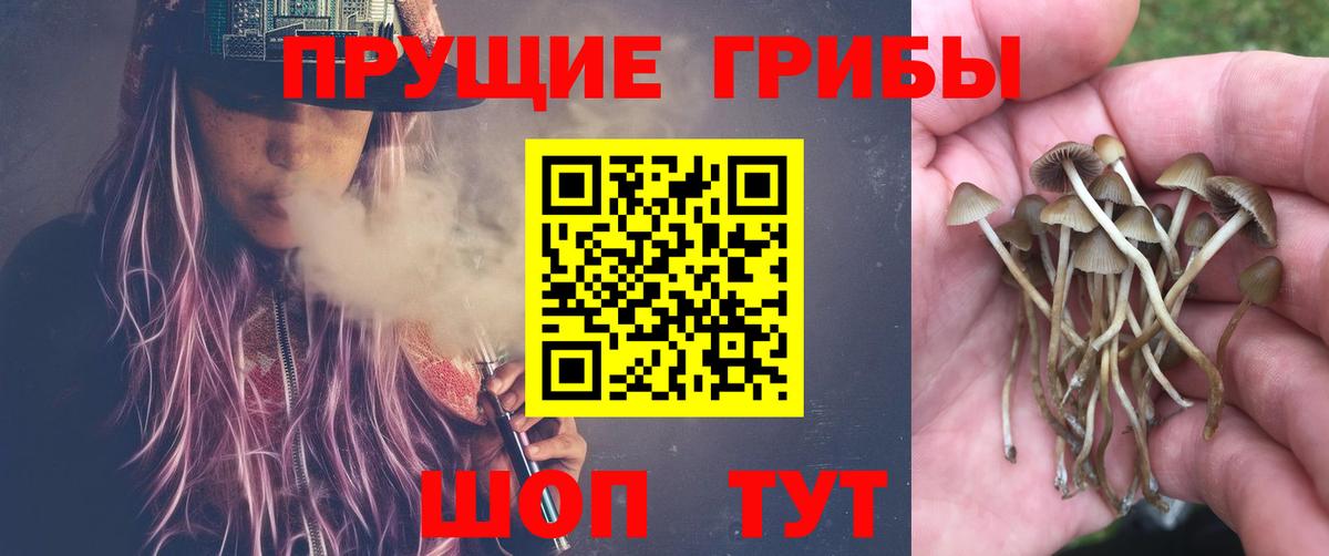 Галлюциногенные грибы мухоморы Шебекино